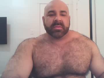 bigbeefusa chaturbate